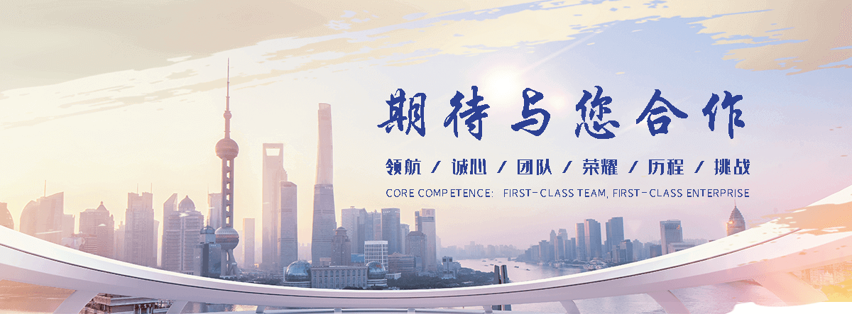 楚雄州电子地磅